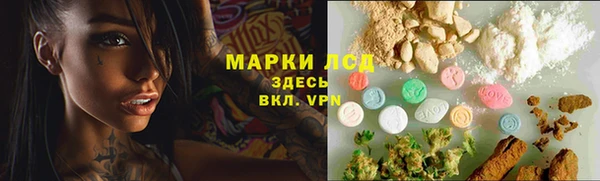 хмурый Абаза