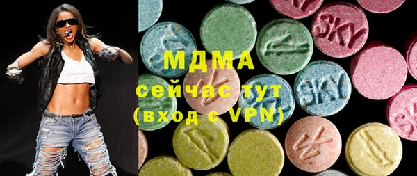 хмурый Абаза
