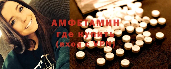 ECSTASY Алзамай