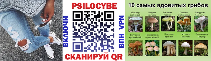 Псилоцибиновые грибы прущие грибы  Псков 